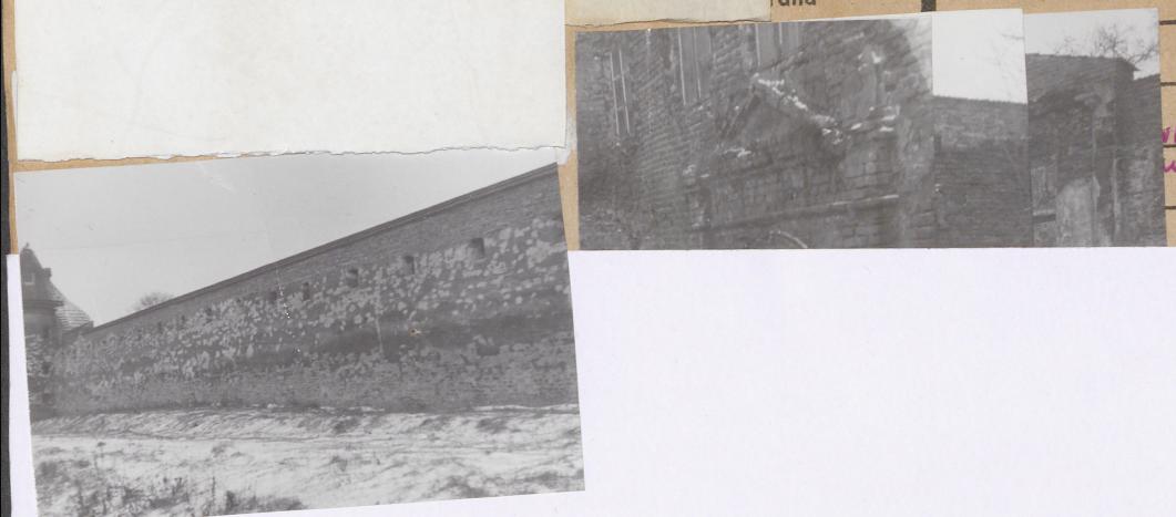 Karta zielona, skan nr 20