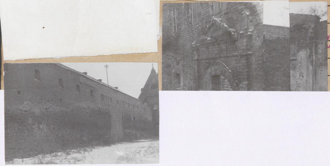 Karta zielona, skan nr 21