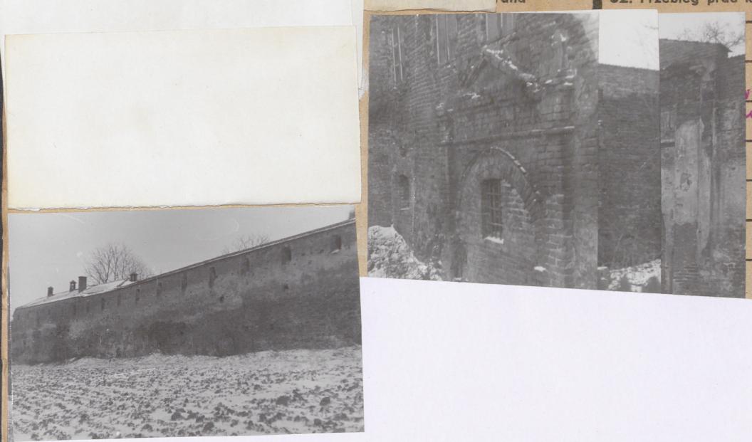 Karta zielona, skan nr 22