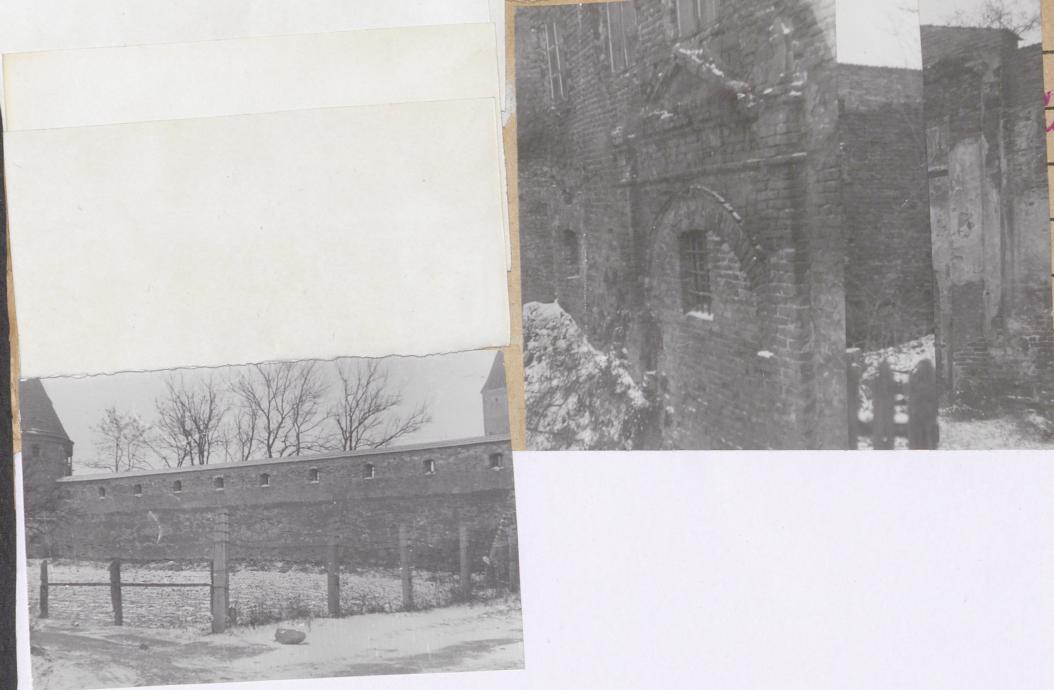 Karta zielona, skan nr 23