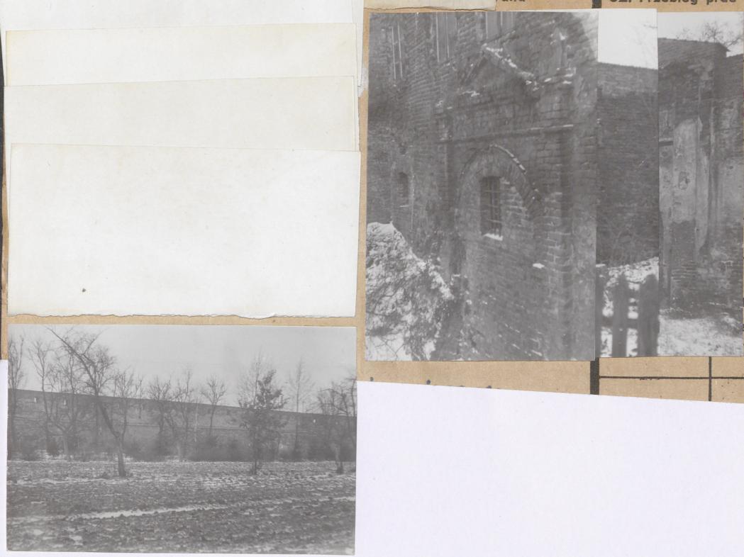 Karta zielona, skan nr 24