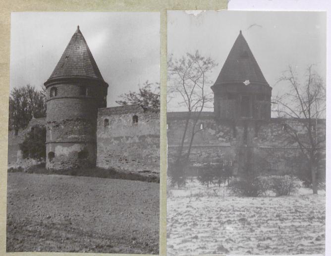 Karta zielona, skan nr 4