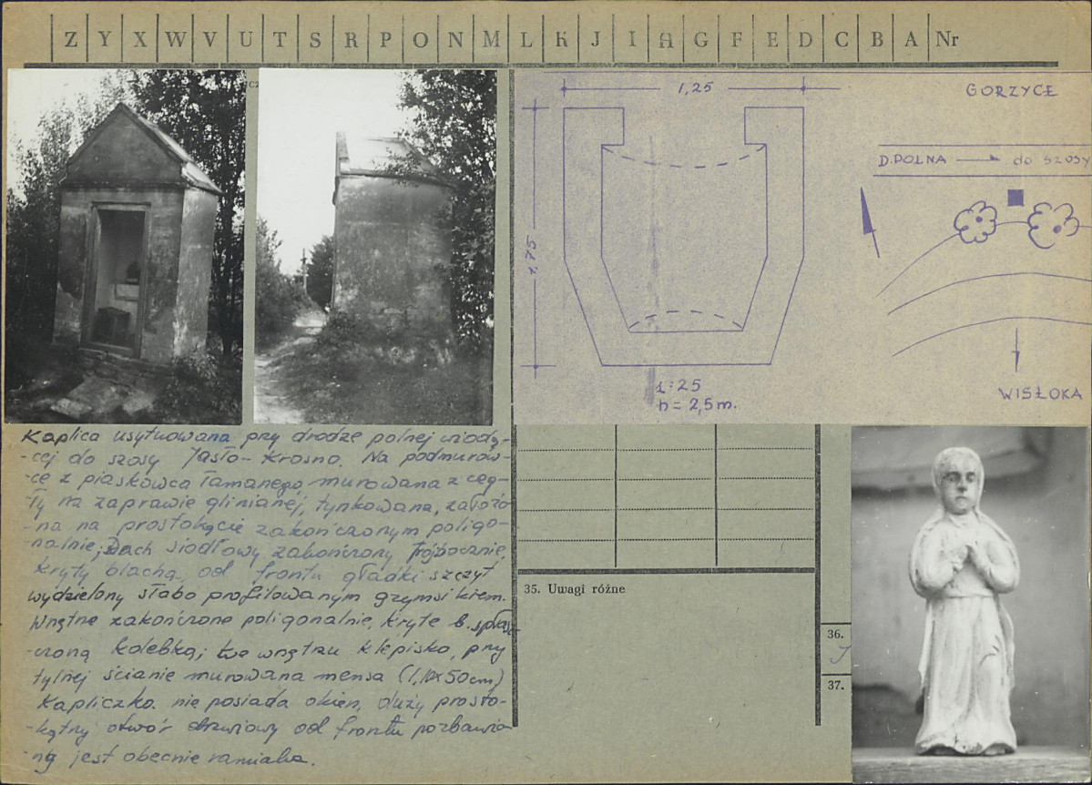 Karta zielona, skan nr 2