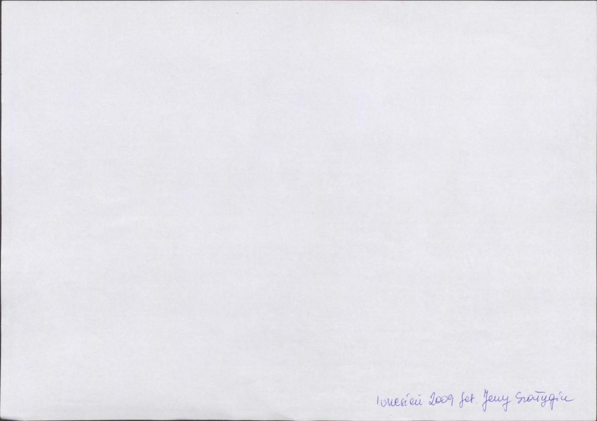 Karta biała, skan nr 10