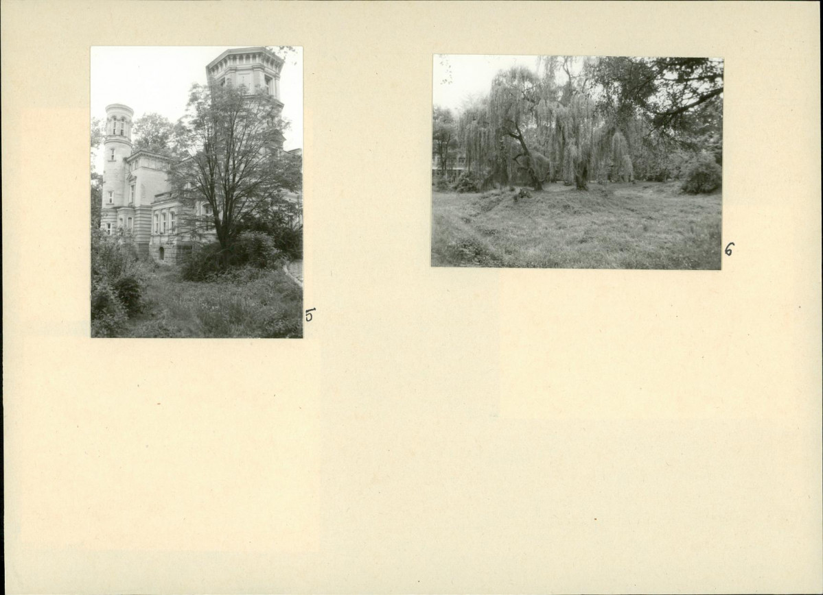 Karta biała, skan nr 10