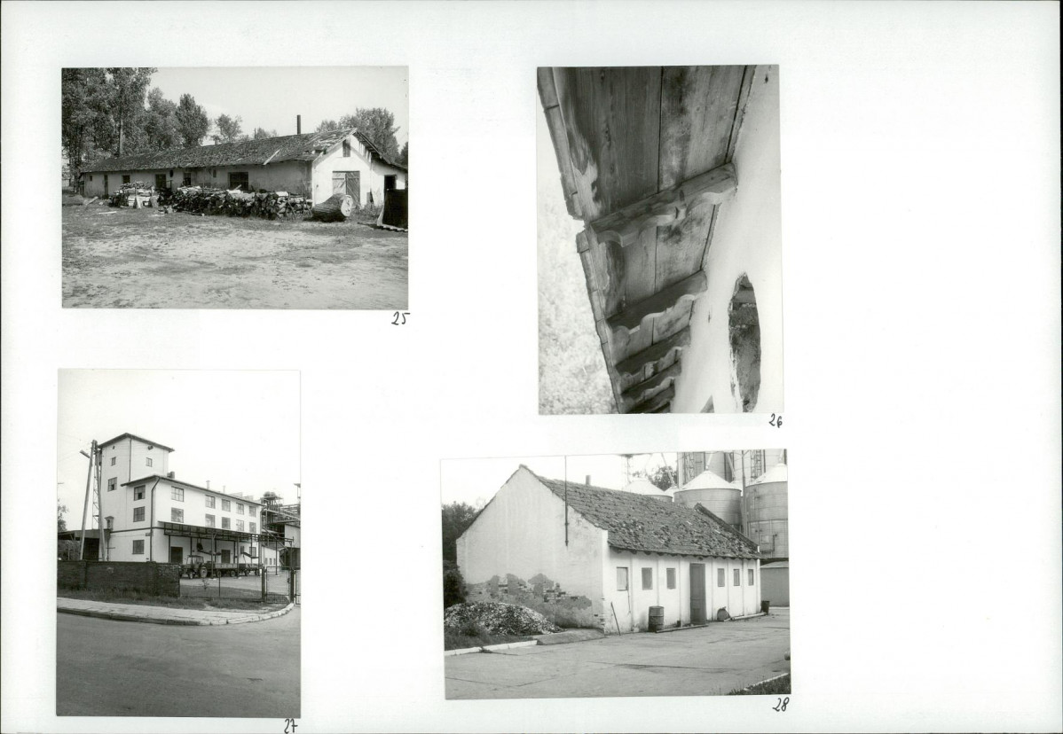 Karta biała, skan nr 16