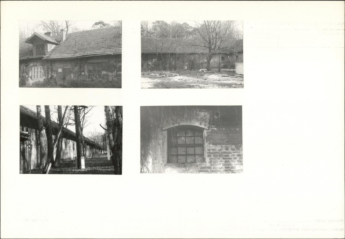 Karta biała, skan nr 6