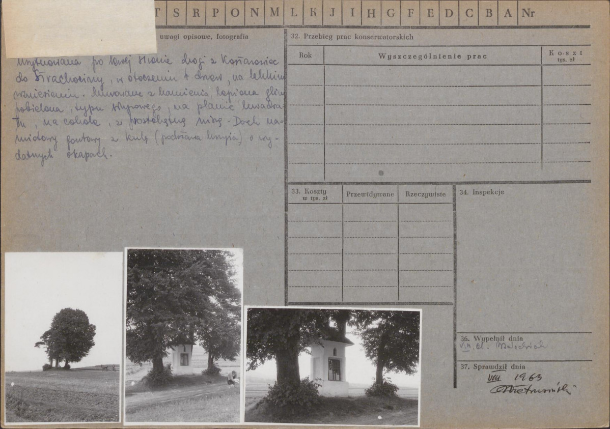 Karta zielona, skan nr 3