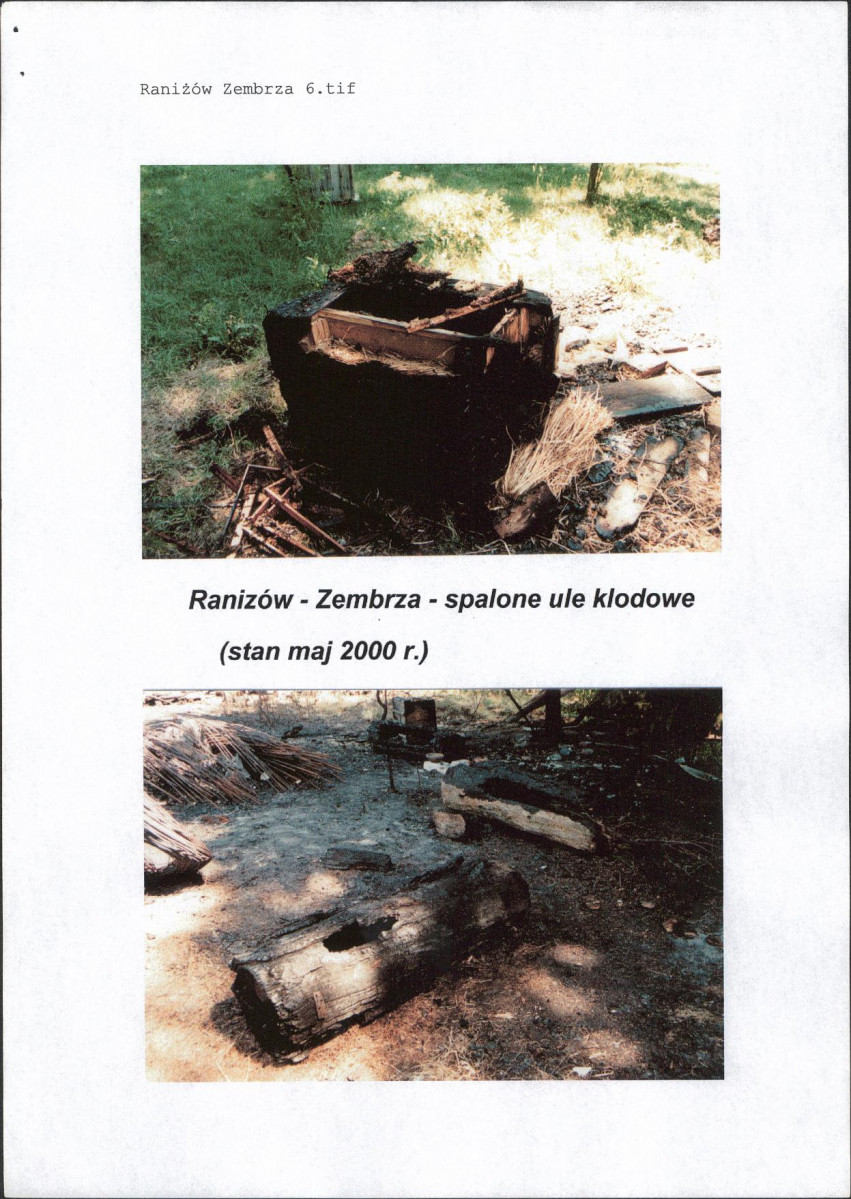 KZ - Karta zielona, skan nr 11
