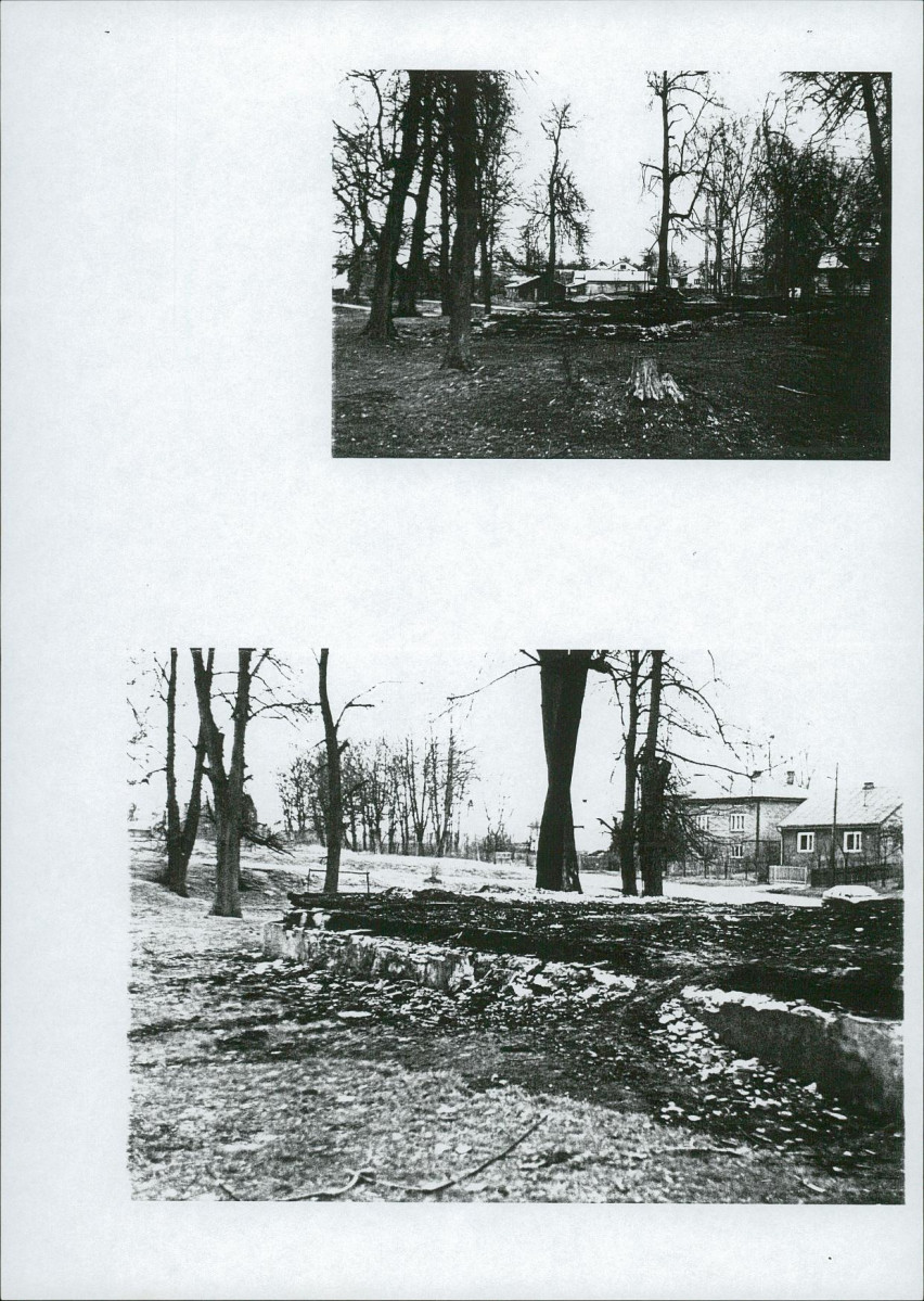 Karta zielona, skan nr 7