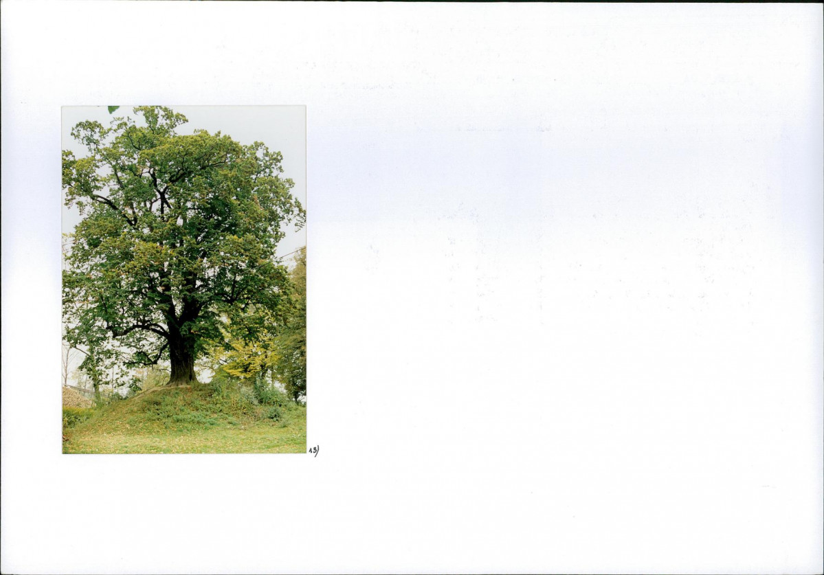 KB - Karta biała, skan nr 12