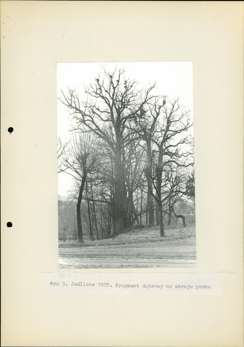 Ewidencja parkowa, skan nr 13
