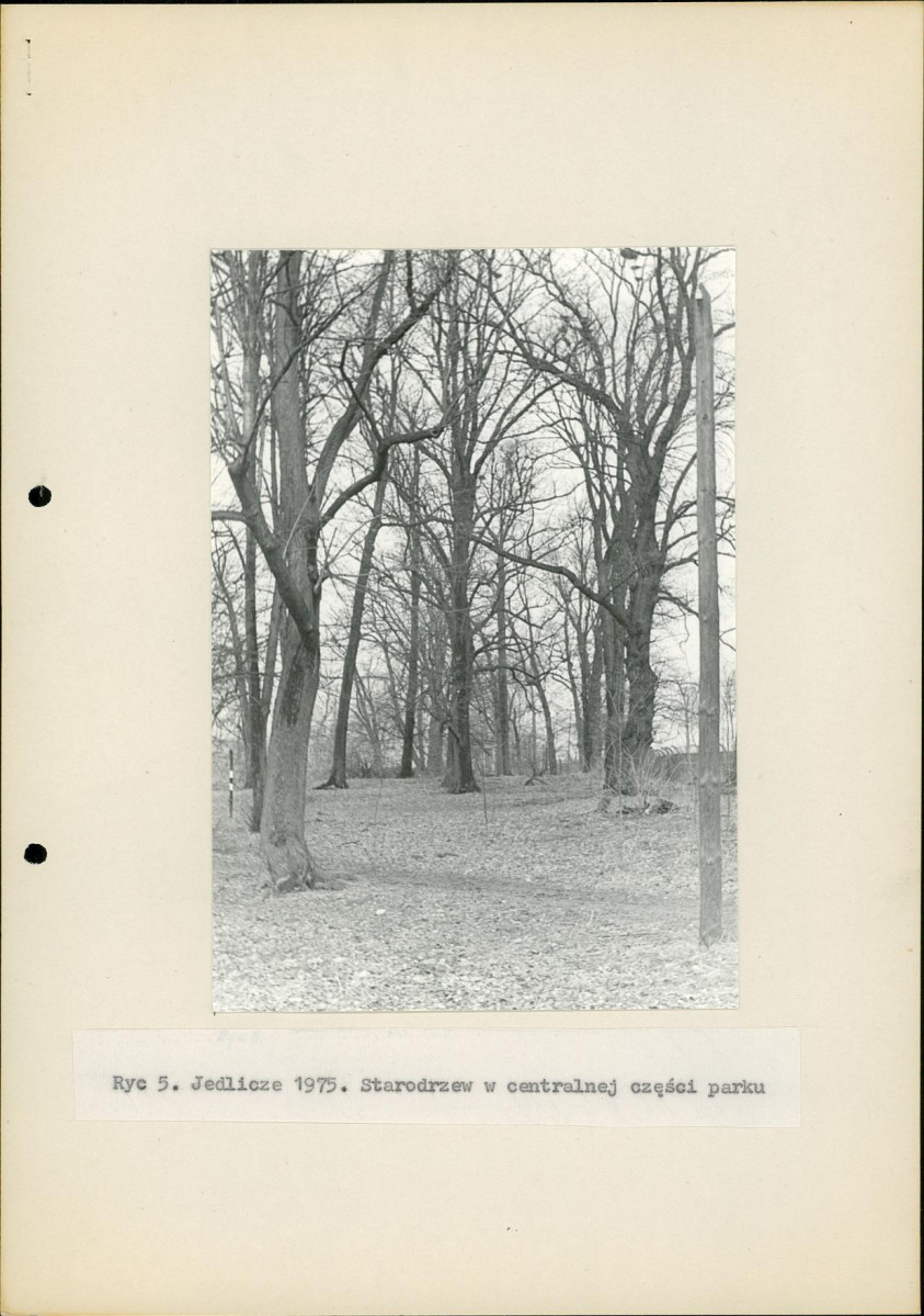 Ewidencja parkowa, skan nr 15