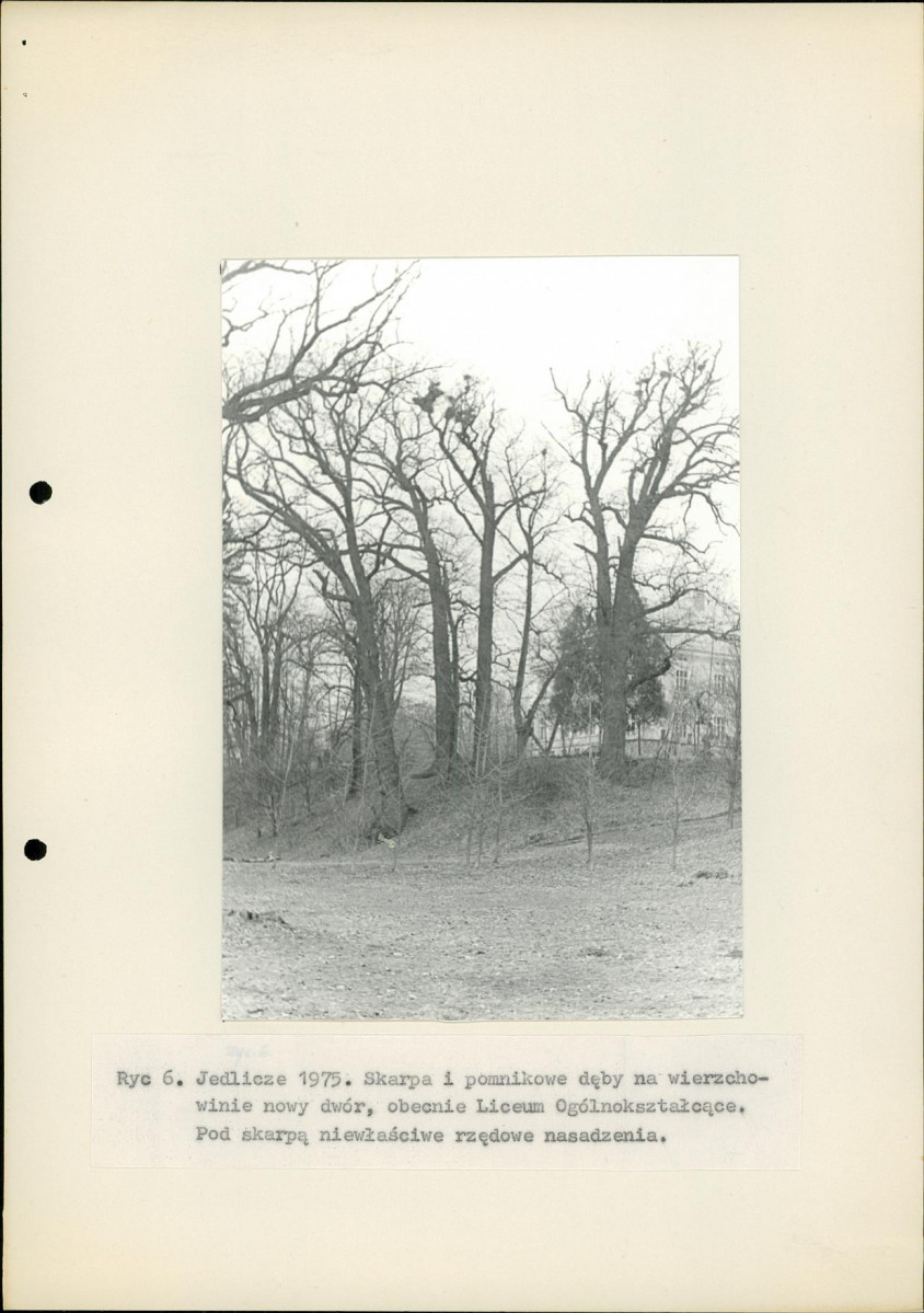 Ewidencja parkowa, skan nr 16