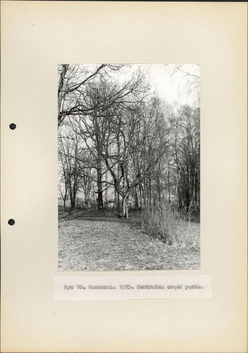 Ewidencja parkowa, skan nr 30