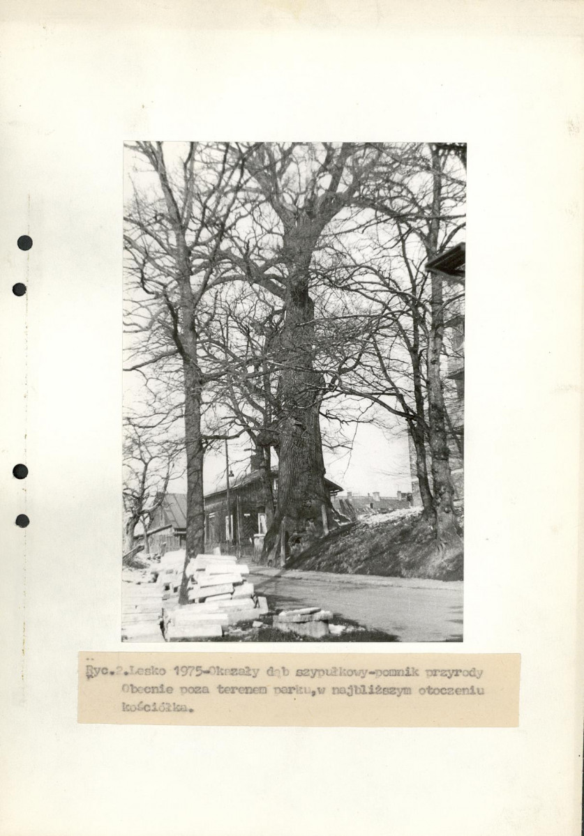 Ewidencja parkowa, skan nr 13