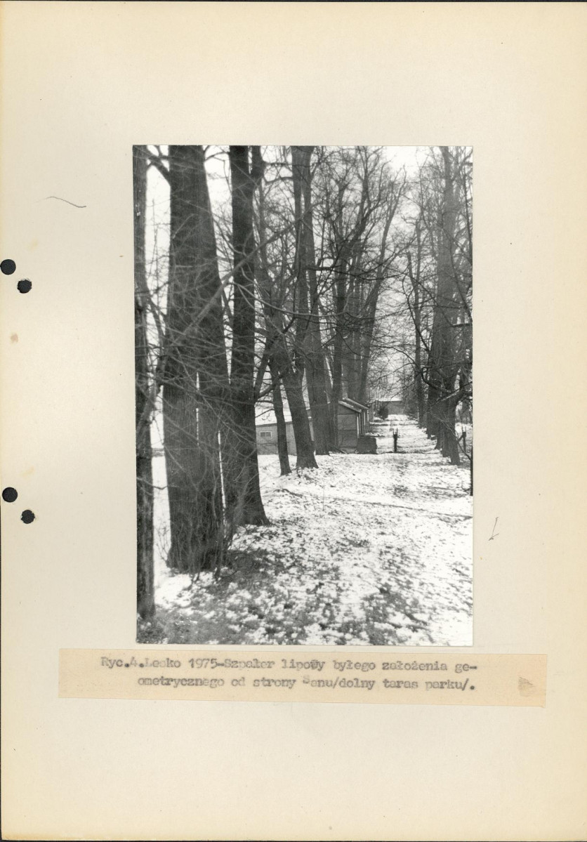 Ewidencja parkowa, skan nr 15