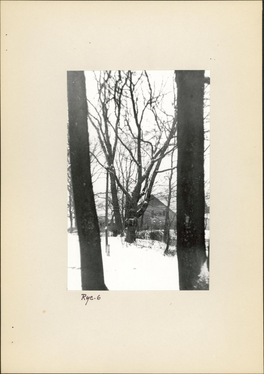 Ewidencja parkowa, skan nr 15