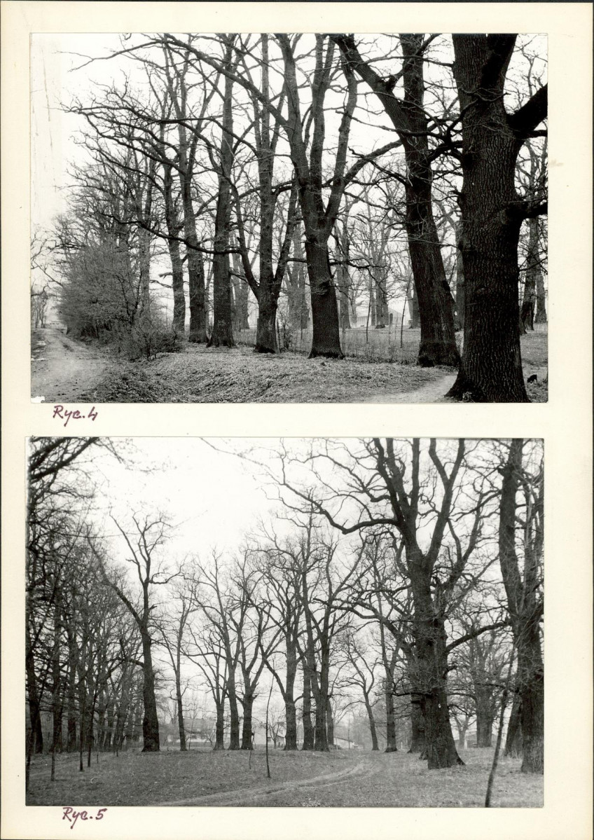 Ewidencja parkowa, skan nr 14