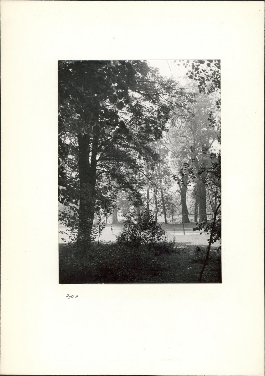 Ewidencja parkowa, skan nr 19