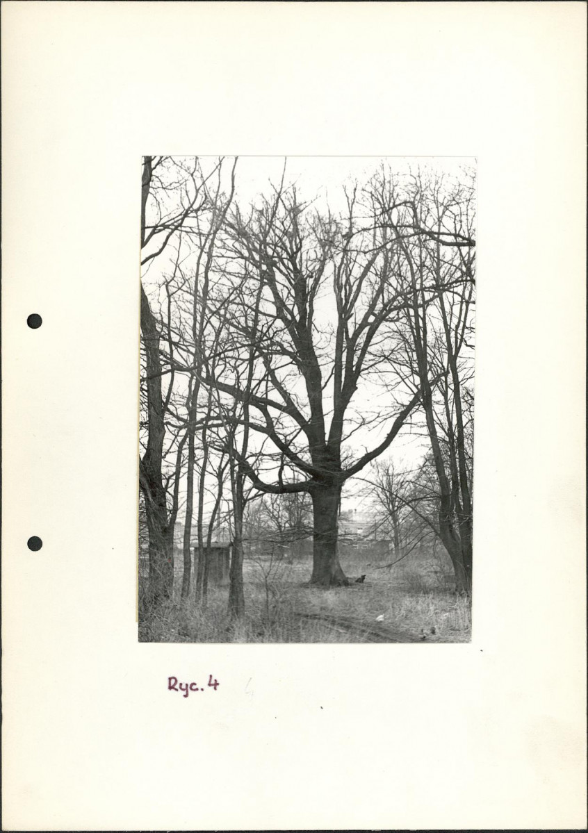Ewidencja parkowa, skan nr 17