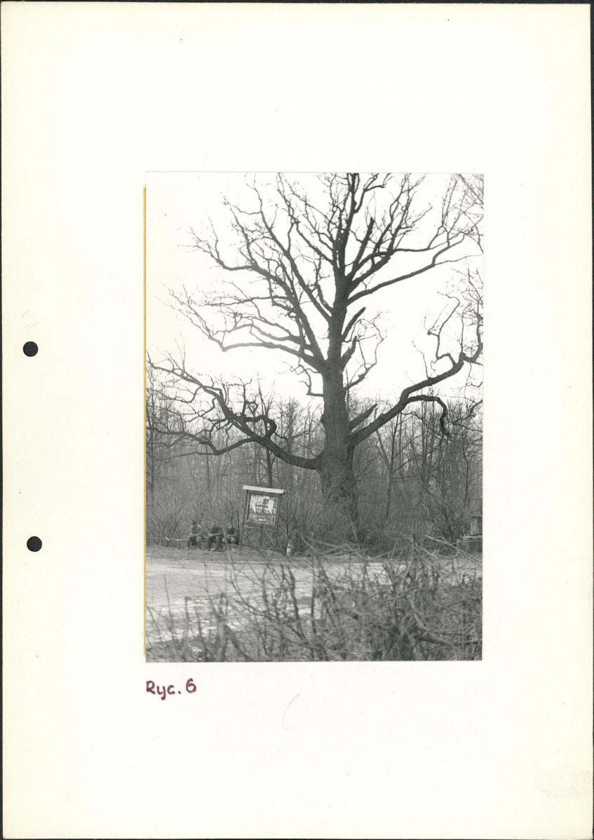 Ewidencja parkowa, skan nr 19