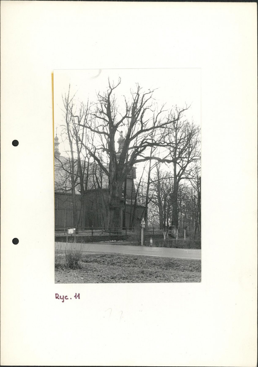Ewidencja parkowa, skan nr 24