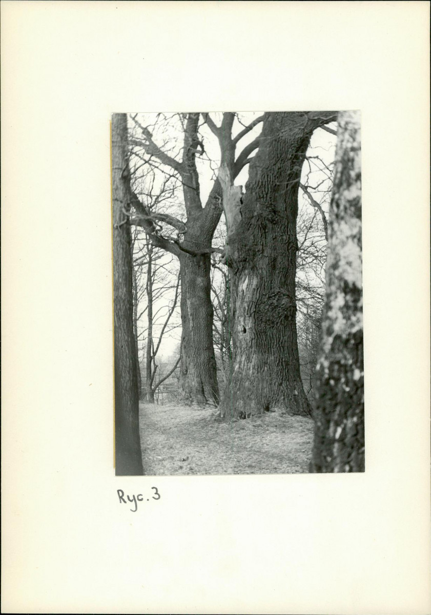 Ewidencja parkowa, skan nr 16