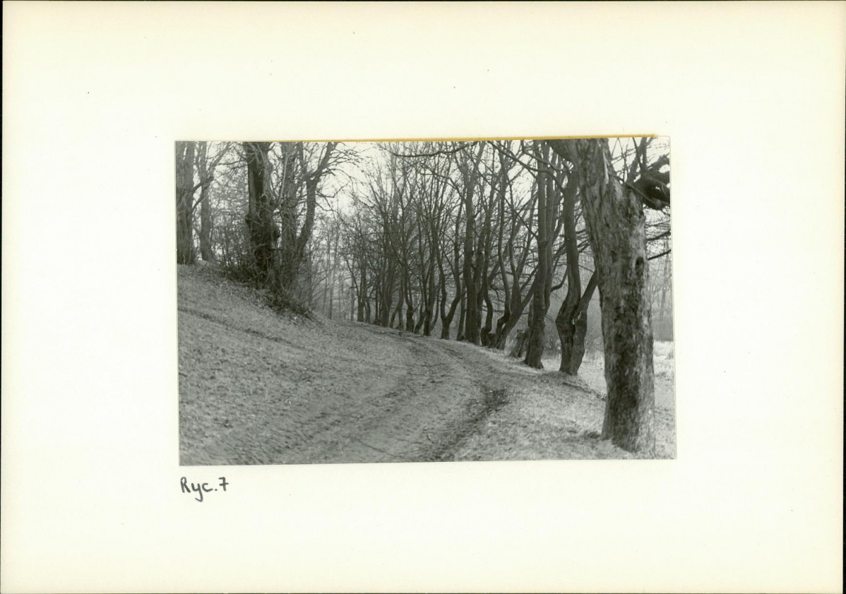 Ewidencja parkowa, skan nr 20