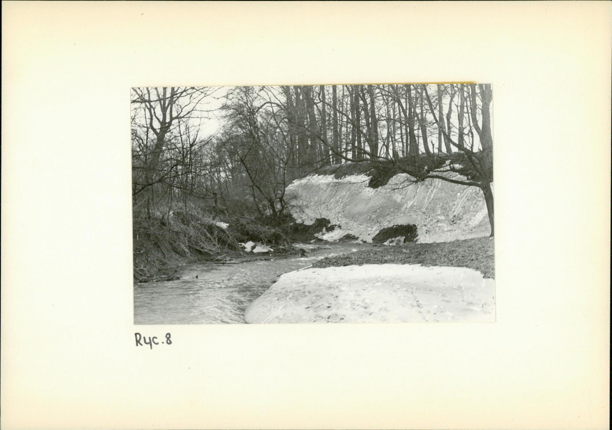 Ewidencja parkowa, skan nr 21