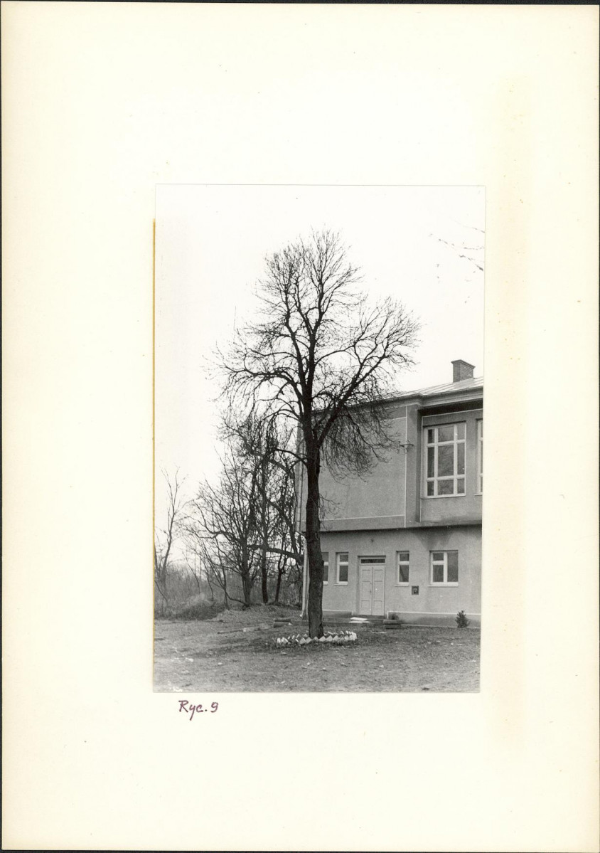 Ewidencja parkowa, skan nr 21