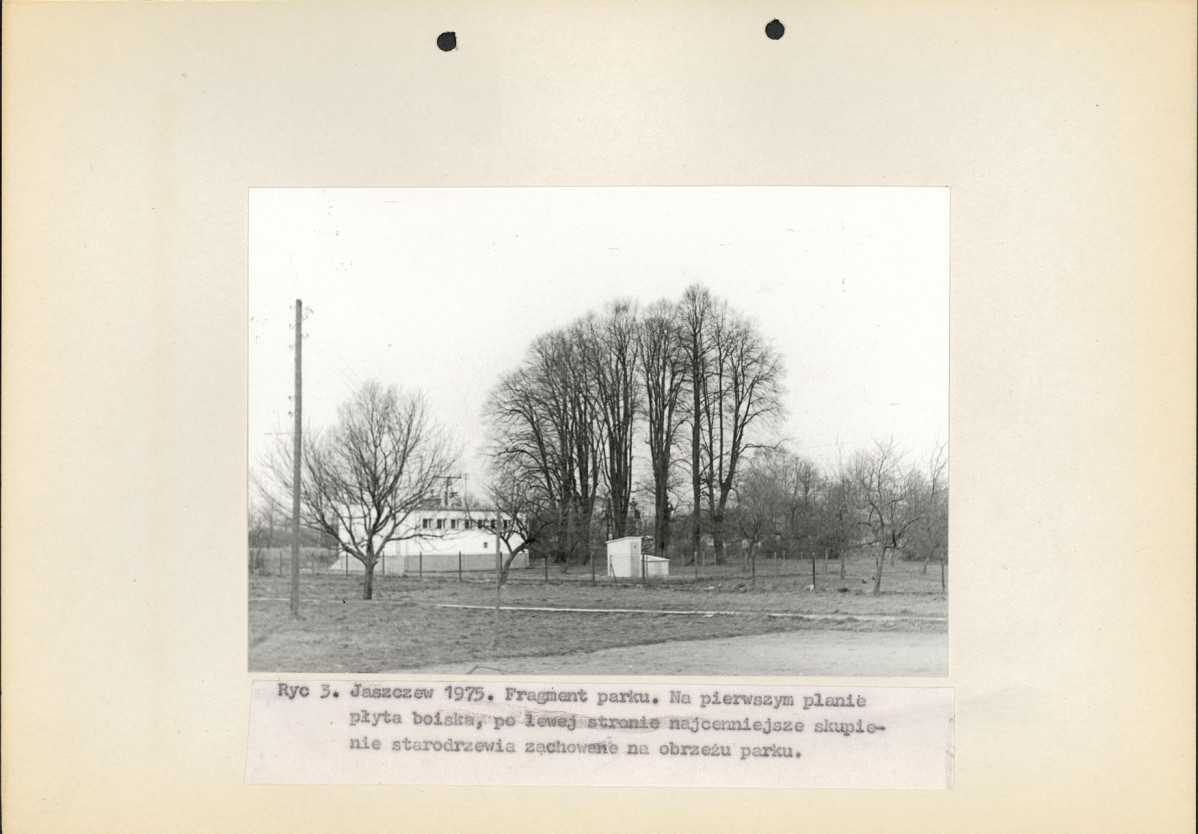 Ewidencja parkowa, skan nr 11