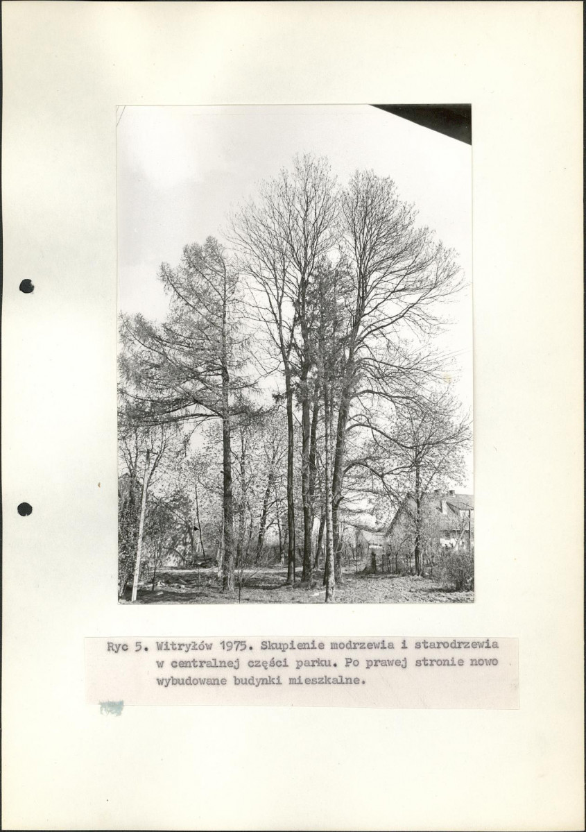 Ewidencja parkowa, skan nr 14