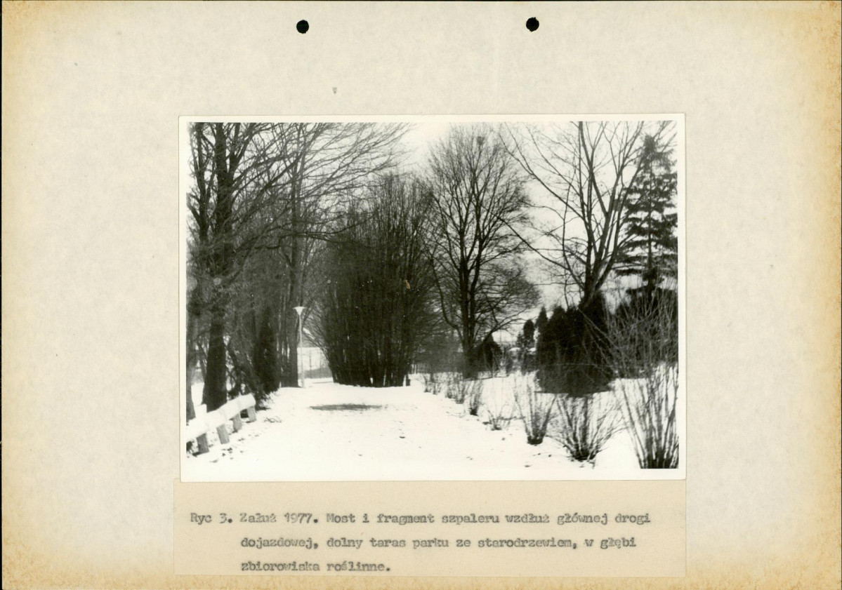 Ewidencja parkowa, skan nr 15