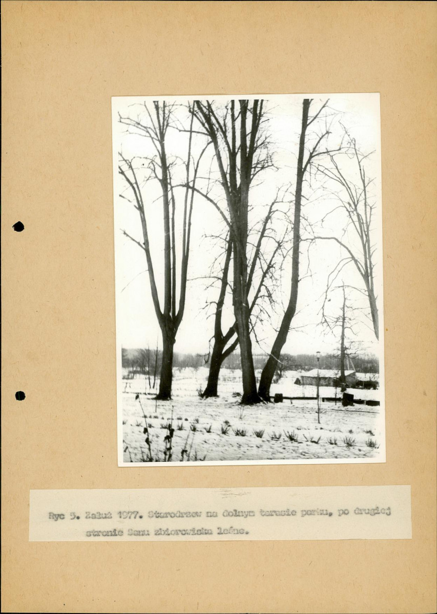 Ewidencja parkowa, skan nr 17
