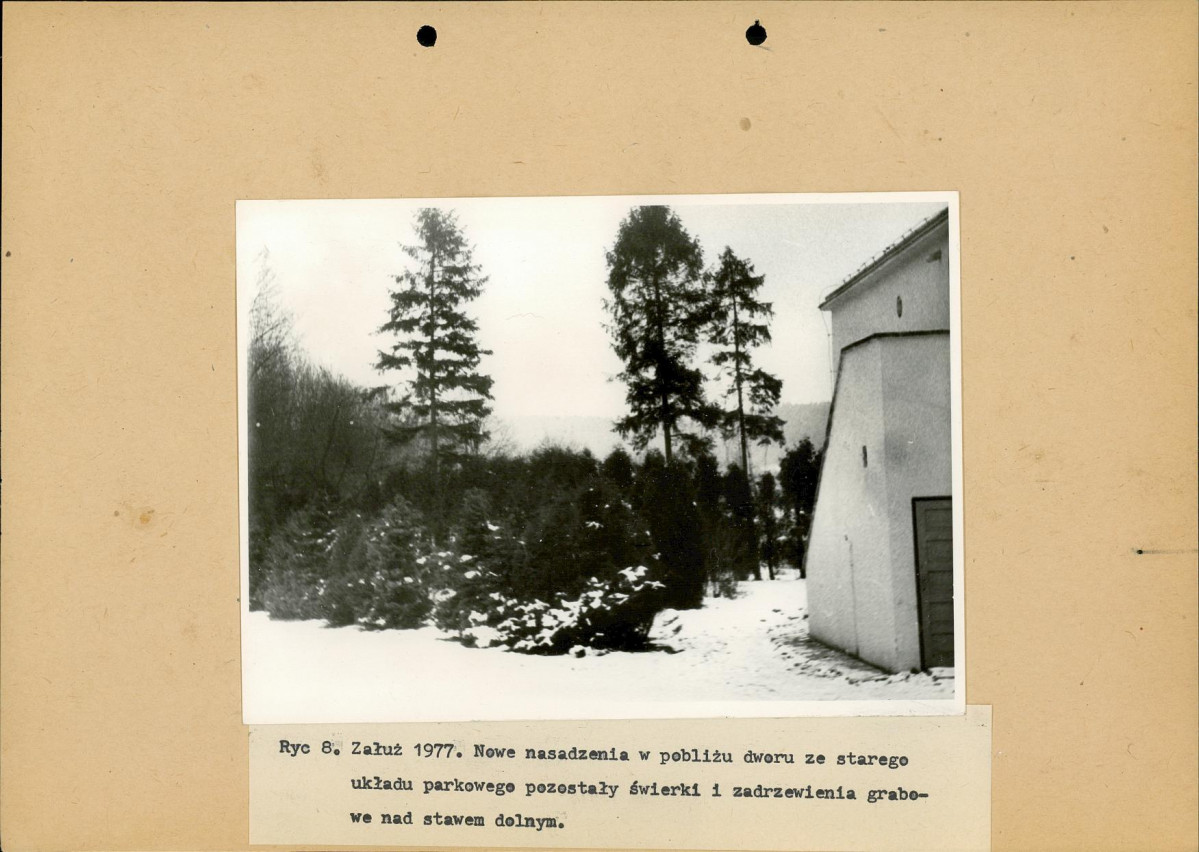 Ewidencja parkowa, skan nr 20