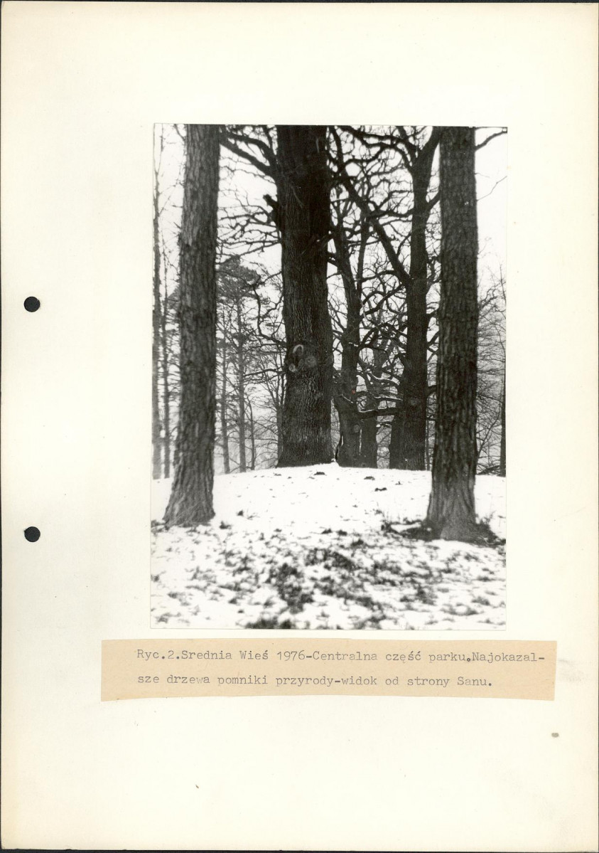 Ewidencja parkowa, skan nr 14