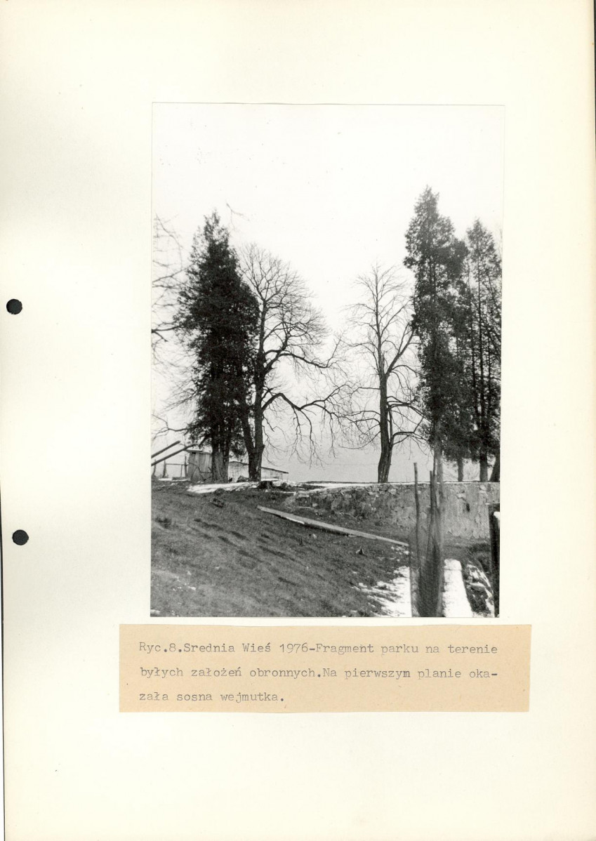 Ewidencja parkowa, skan nr 20