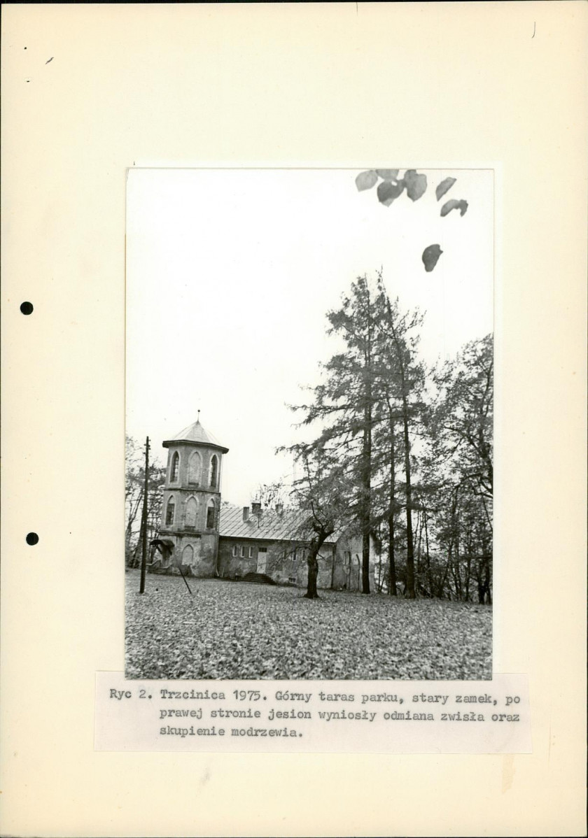 Ewidencja parkowa, skan nr 12