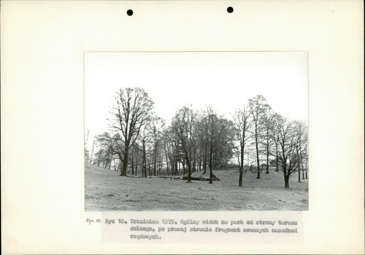 Ewidencja parkowa, skan nr 19