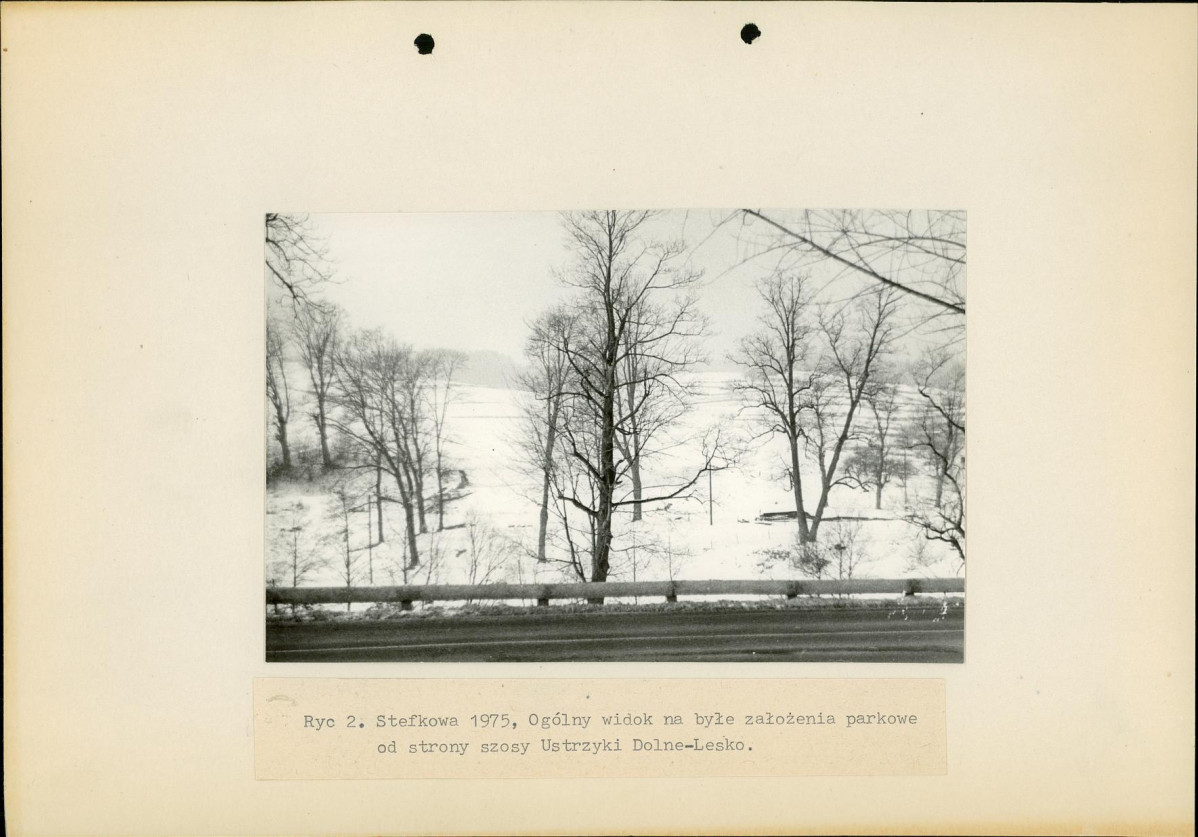 Ewidencja parkowa, skan nr 11