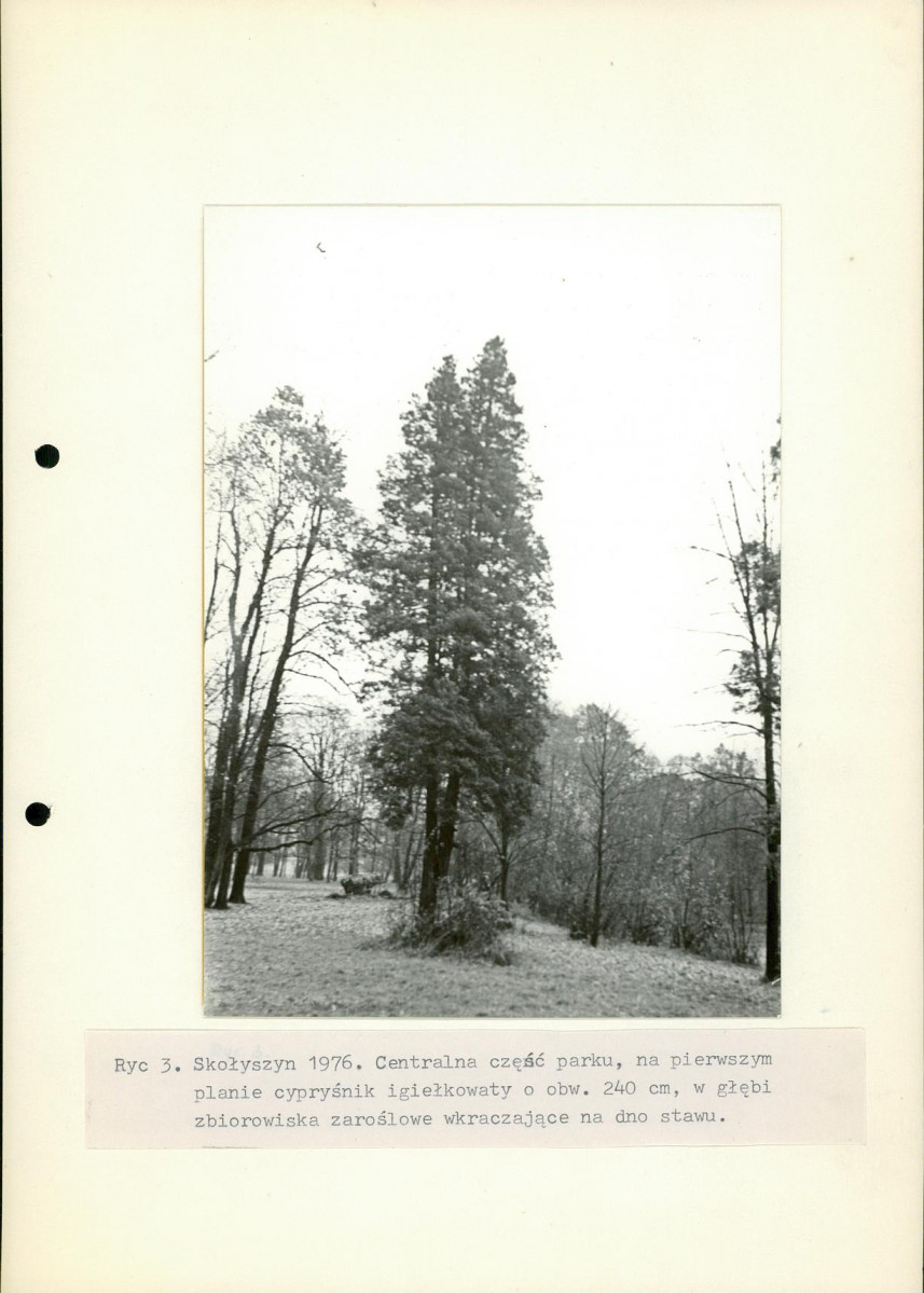 Ewidencja parkowa, skan nr 15
