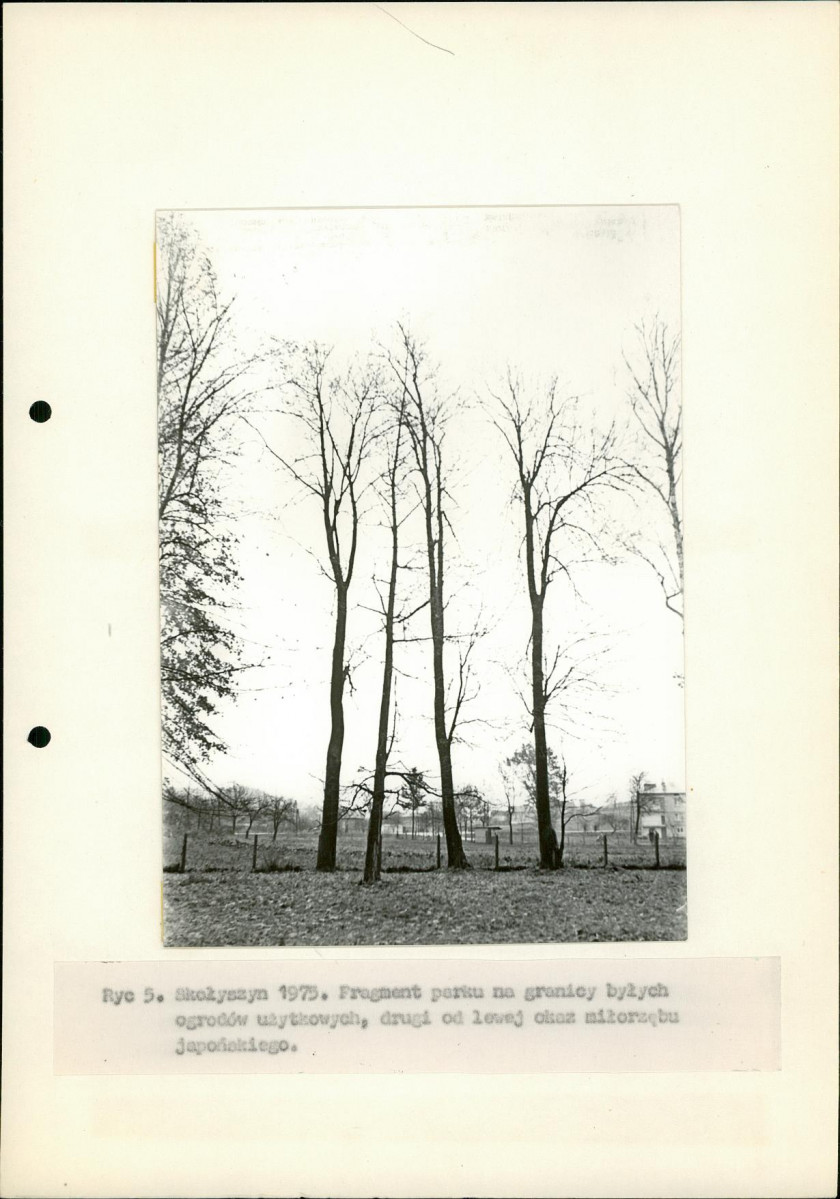 Ewidencja parkowa, skan nr 17