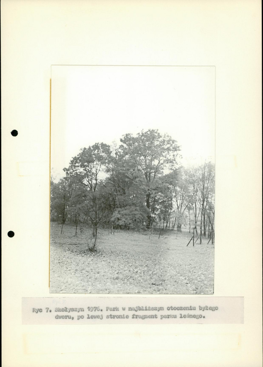 Ewidencja parkowa, skan nr 19