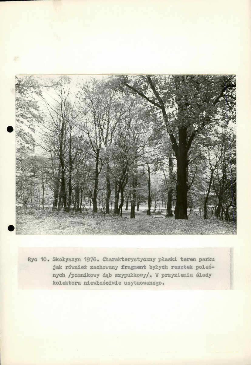 Ewidencja parkowa, skan nr 22