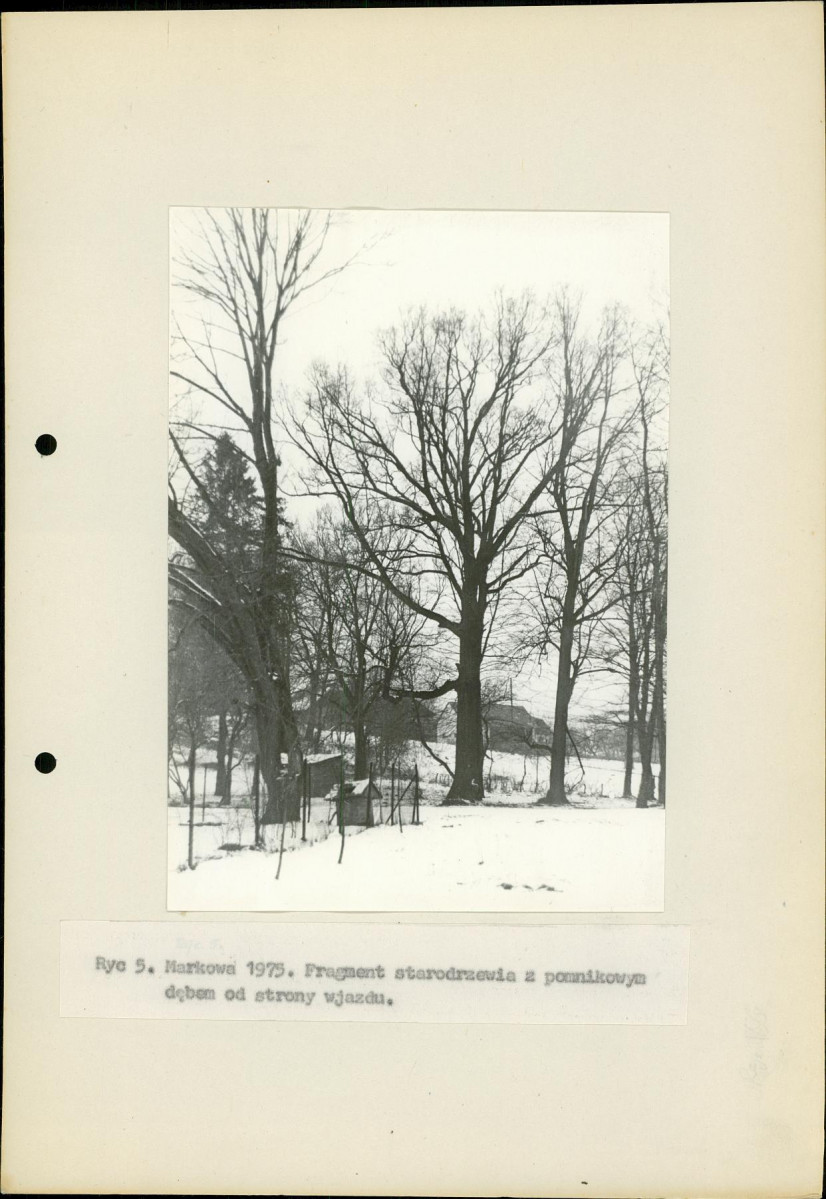 Ewidencja parkowa, skan nr 15