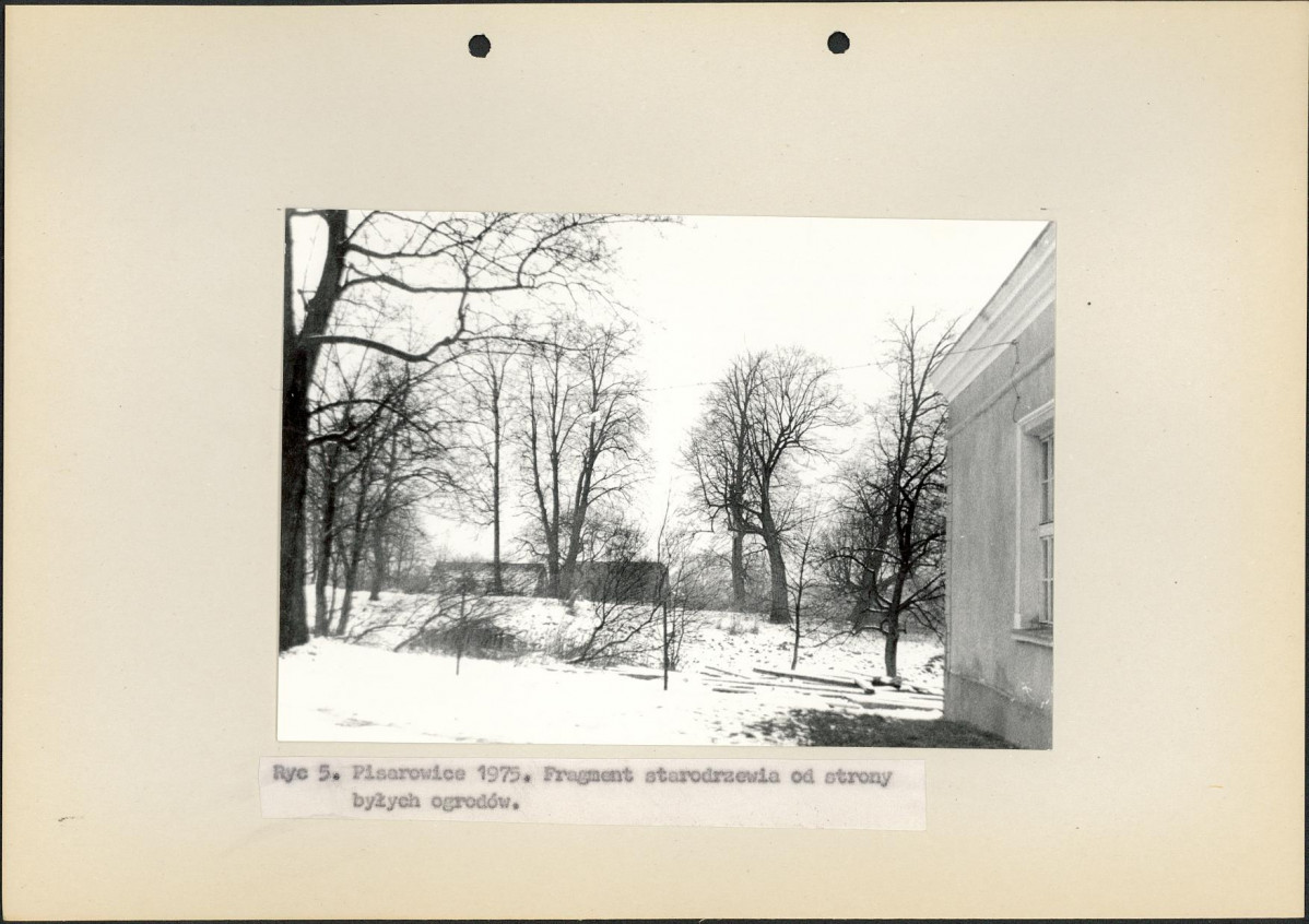 Ewidencja parkowa, skan nr 15