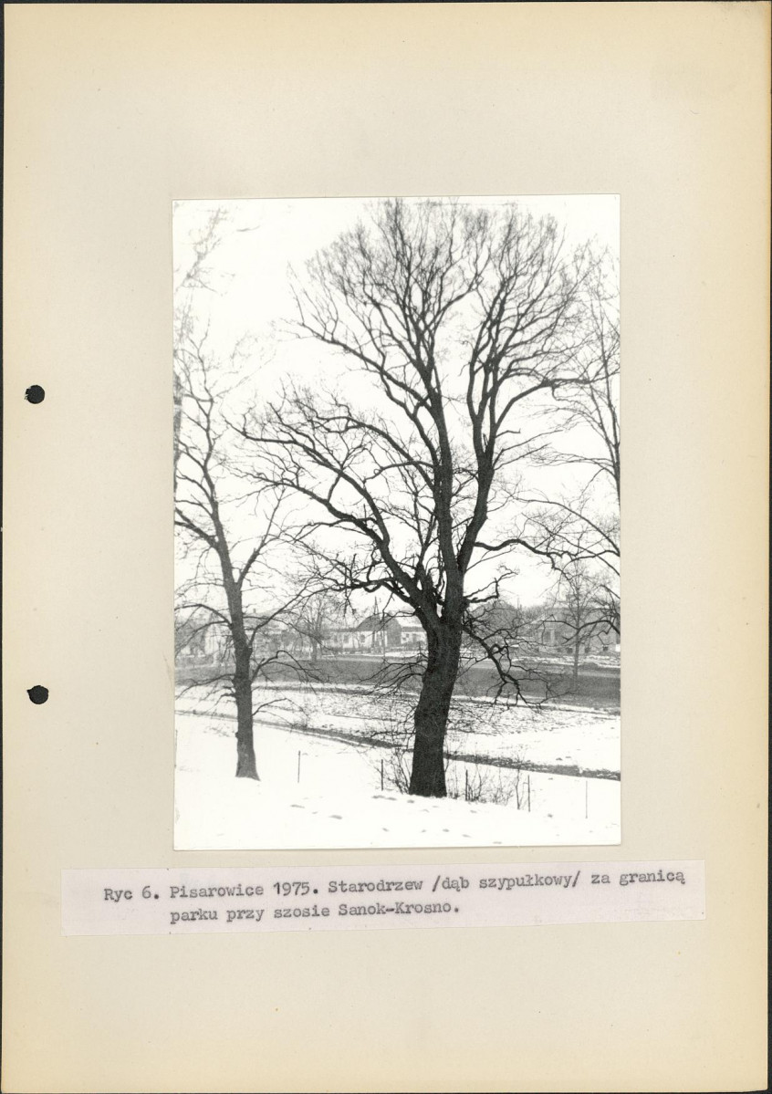 Ewidencja parkowa, skan nr 16
