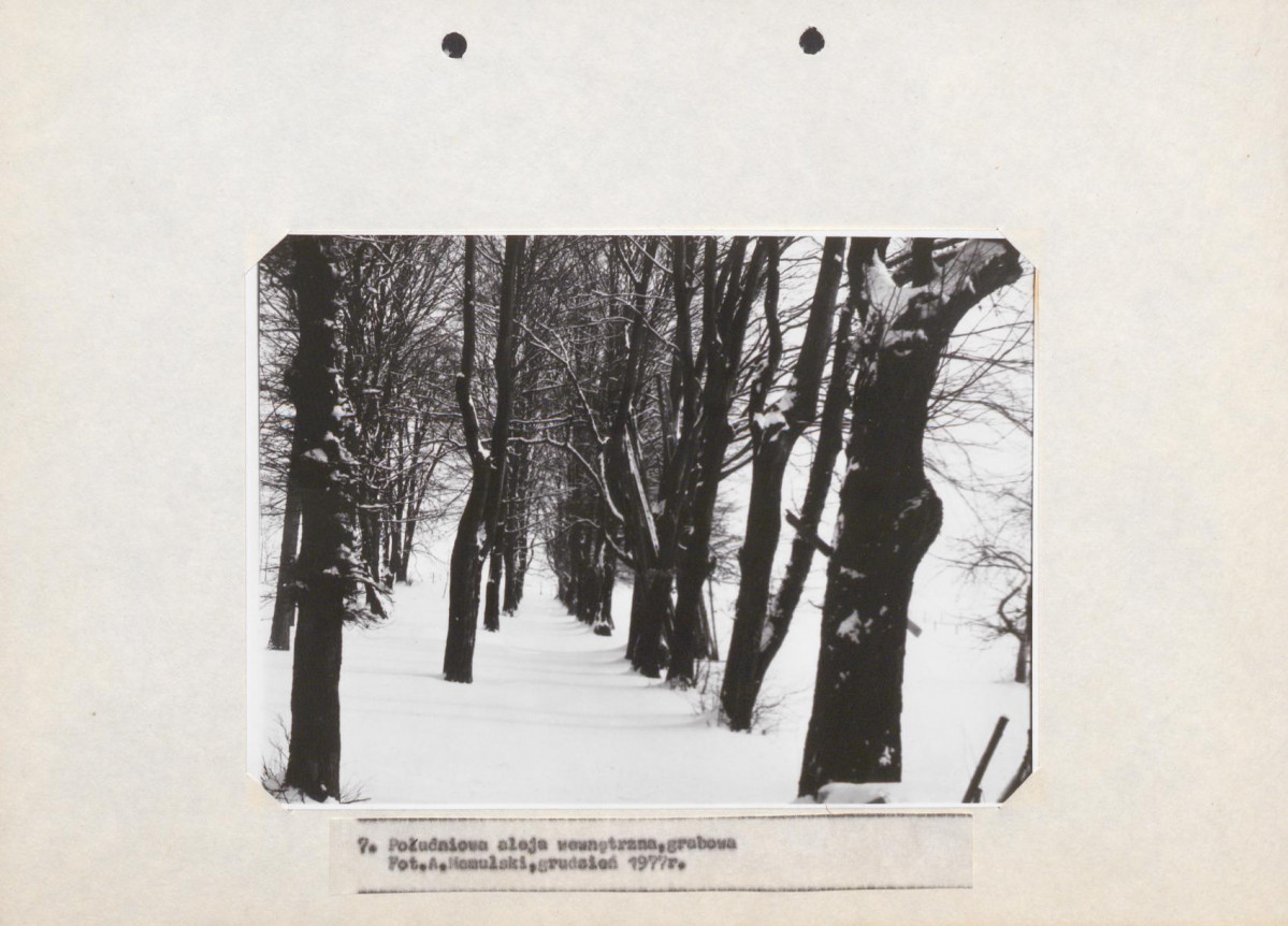 EP - Ewidencja parkowa, skan nr 28