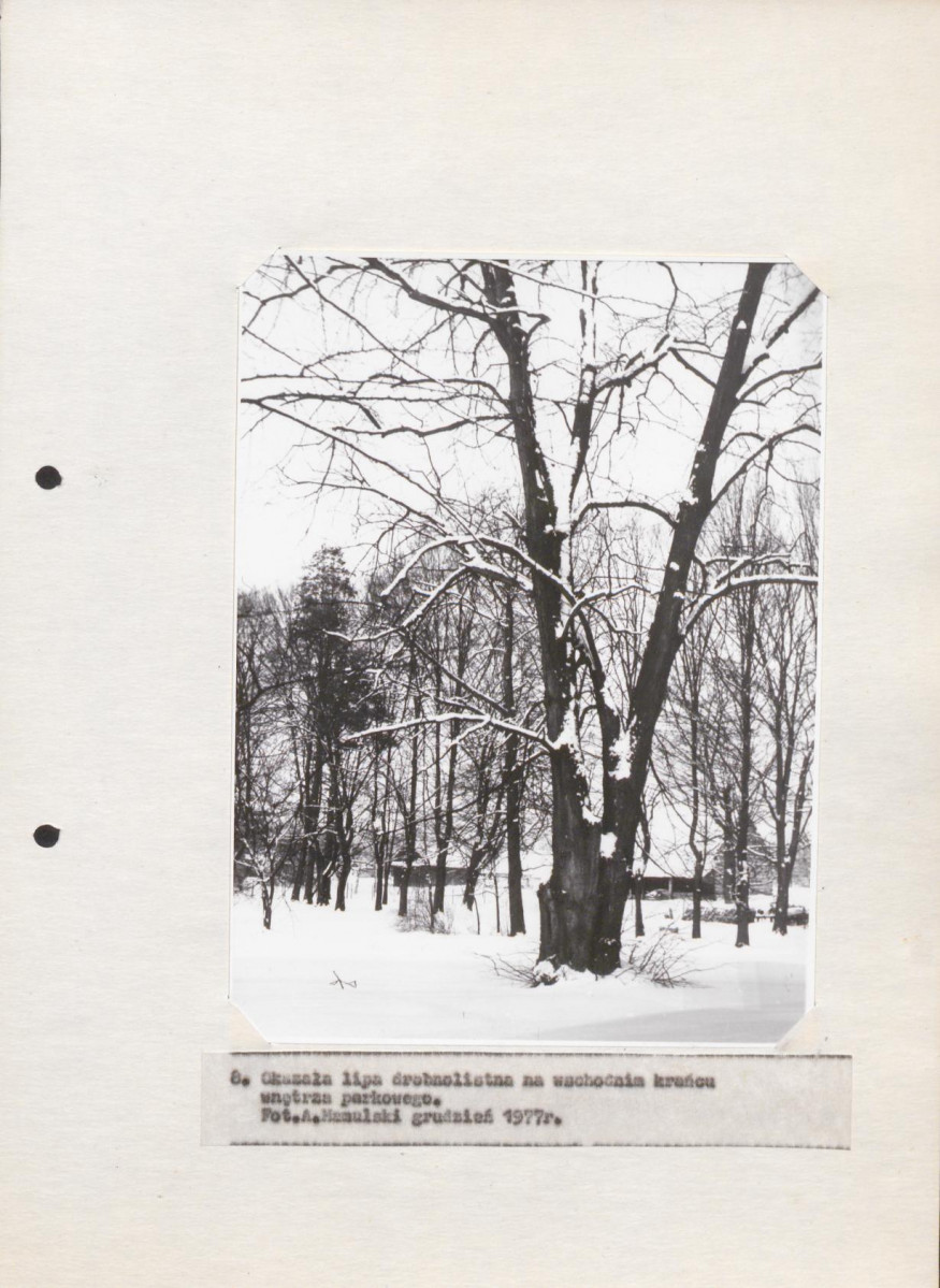 EP - Ewidencja parkowa, skan nr 29